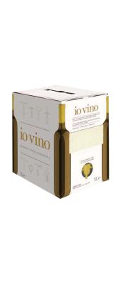Pinot Grigio 5 l BOX 2020 Itálie
