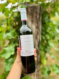 Mller Thurgau 2023 zemsk 0,75l